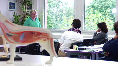 Tierhomoeopathie