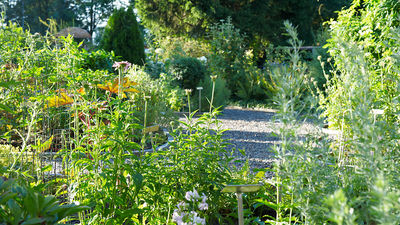 Garten