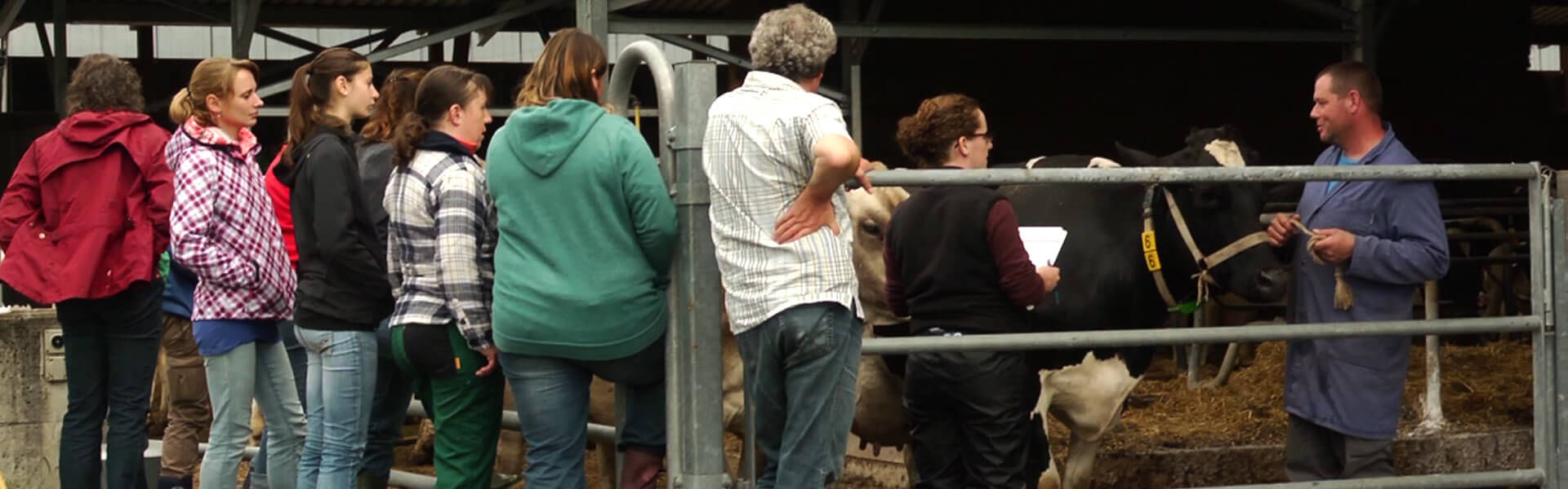 Ausbildung fuer tiermedizinische Praxisassistenten
